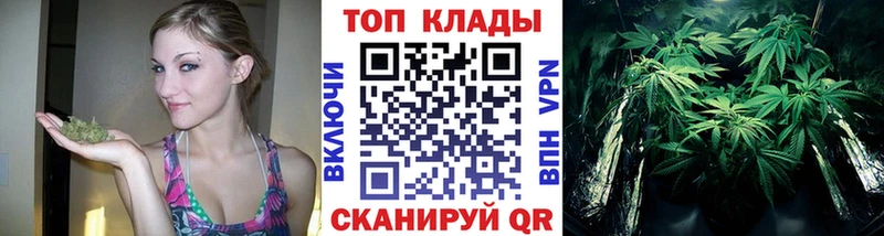 Купить закладку ГАШ  Бошки Шишки  ГЕРОИН  Галлюциногенные грибы  Меф мяу мяу  А ПВП  Cocaine  Покровск