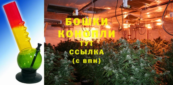 соль ск Каменка