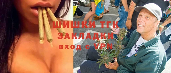 индика Касимов