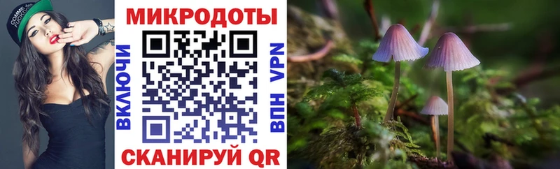 Купить закладки  Покровск  Псилоцибиновые грибы Psilocybe 